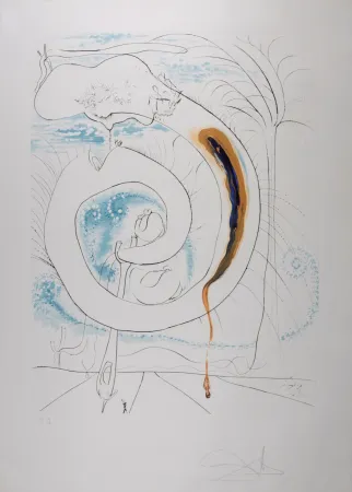 Litografia Dali - Le cercle viscéral du cosmos
