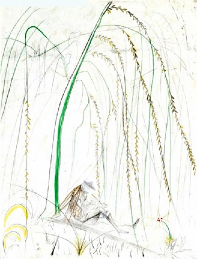 Incisione Dali - Le Saule Pleurer (Weeping Willow)