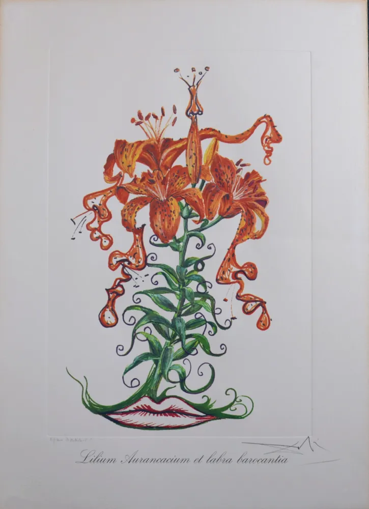 Multiplo Dali - Lilium Aurancacium et labra barocantia, 1972 - Hand-signed!