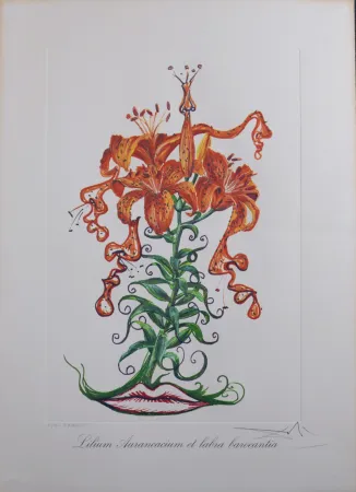 Multiplo Dali - Lilium Aurancacium et labra barocantia, 1972 - Hand-signed!