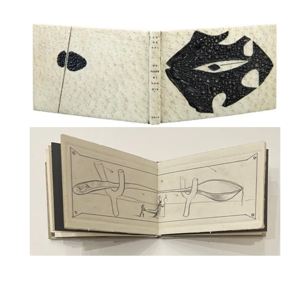 Libro Illustrato Dali - ME PUDRE MI AGONIA