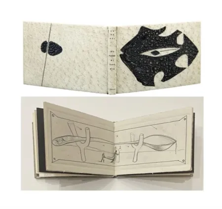Libro Illustrato Dali - ME PUDRE MI AGONIA