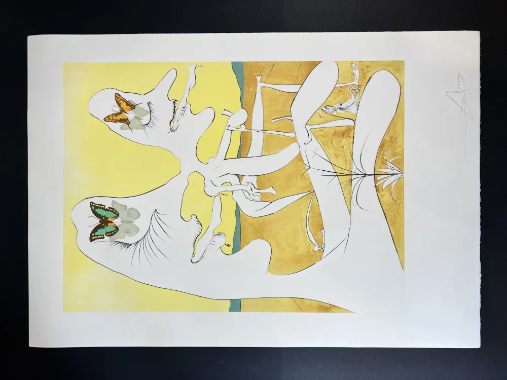 Multiplo Dali - Papillons de l’anti-matière