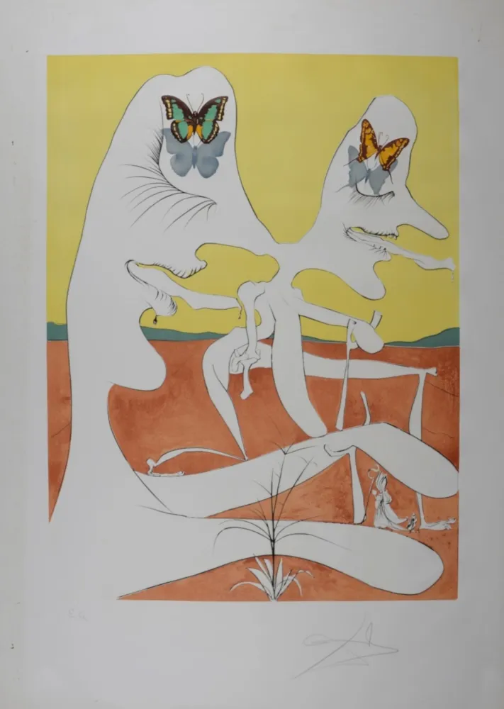 Punta Secca Dali - Papillons de l'anti-matière