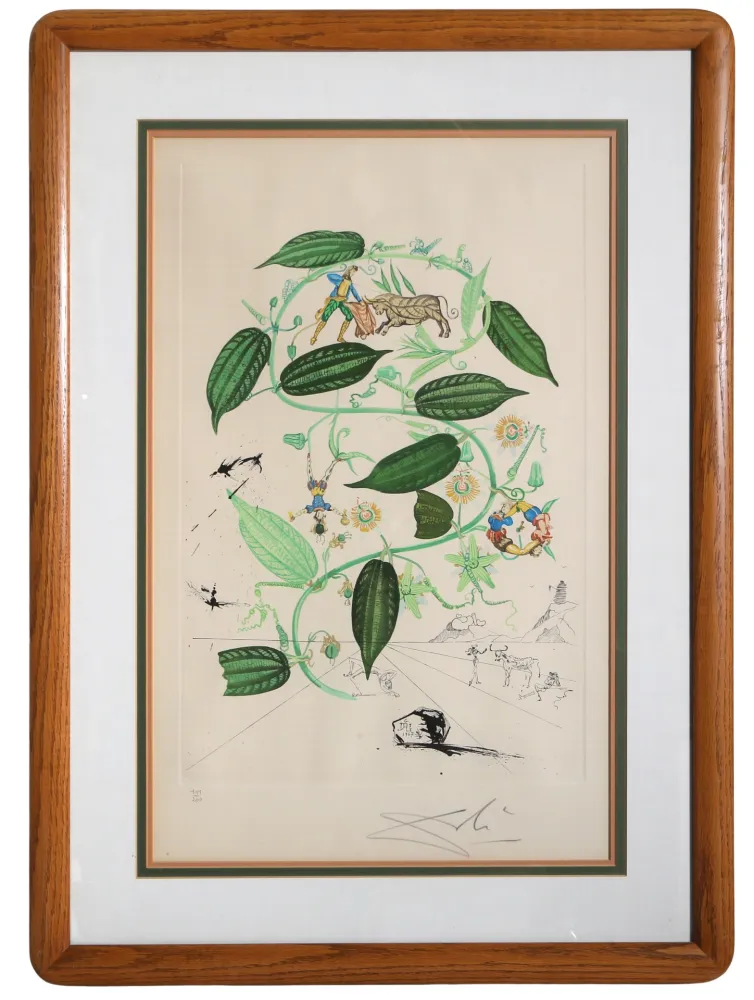 Incisione Dali - Passiflora Laurigera