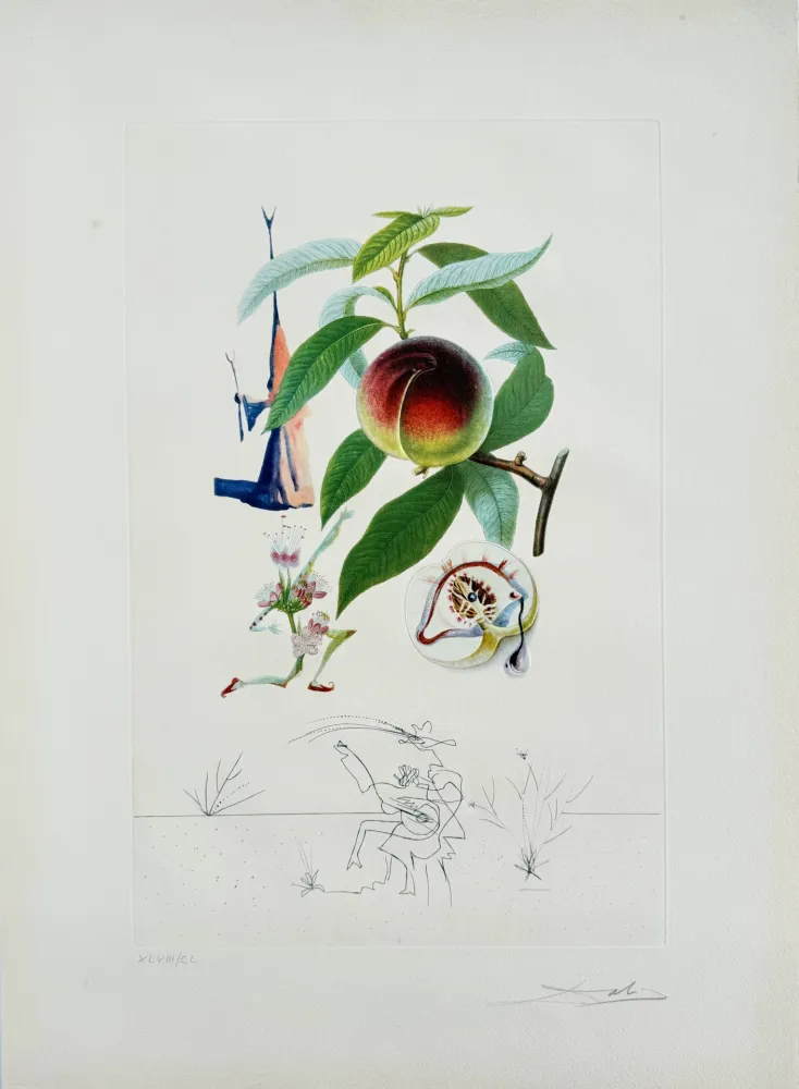 Litografia Dali - Penitent Peach-tree from Flordali suite