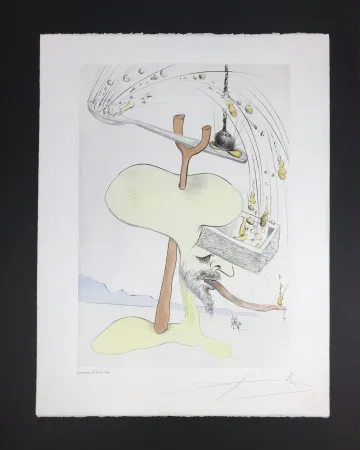 Multiplo Dali - Quevedos Visiones