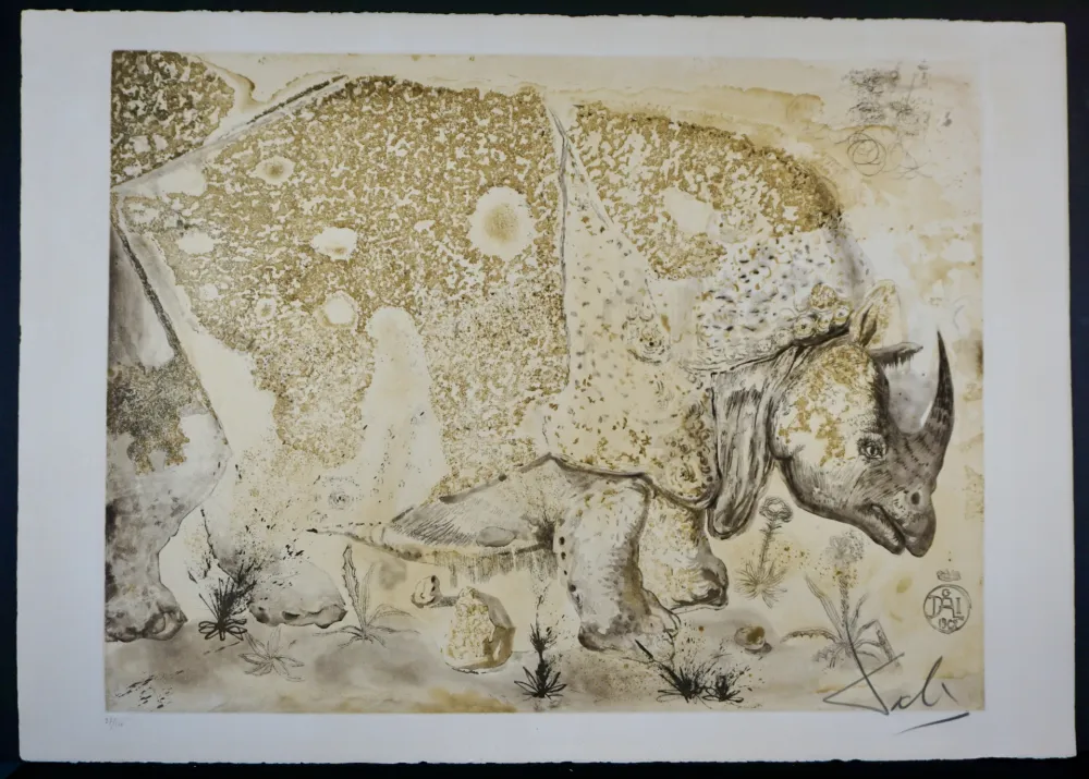 Incisione Dali - Rhinoceros
