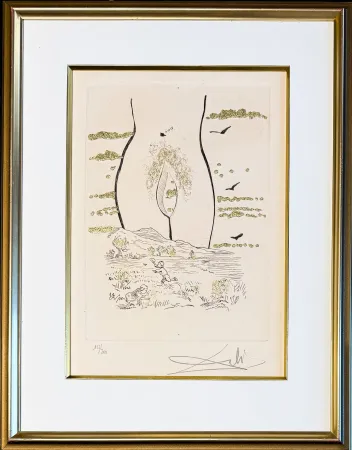 Incisione Dali - Salvador Dalí (1904–1989)- A l'Éternelle madame (To the Eternal Madame) - Drypoint, etching hand coloured and gilded on Arches paper - 1974