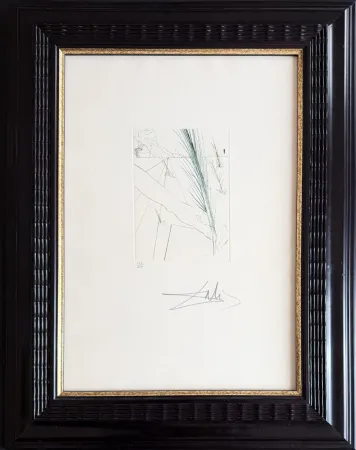 Incisione Dali - Salvador Dalí (1904–1989) - Love's Labour's Lost - Drypoint etching on Rives paper - 1970