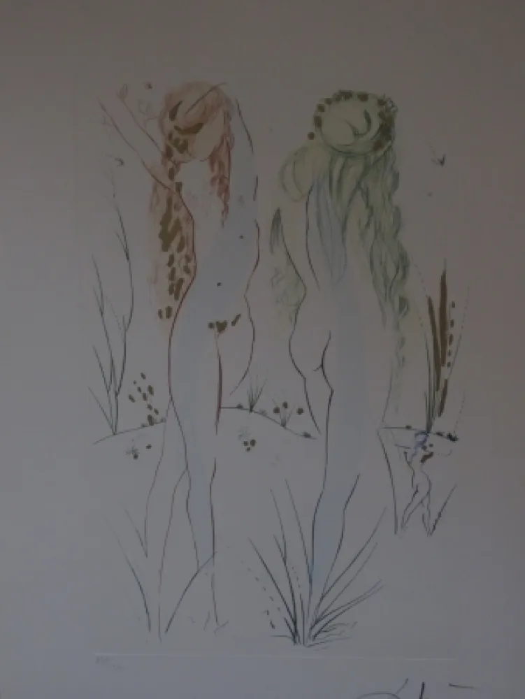 Acquaforte E Acquatinta Dali - Sans titre