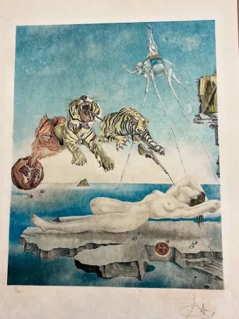 Litografia Dali - Sueño causado por el vuelo de una abeja en torno a una granada un segundo antes de despertar