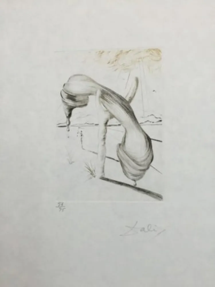 Punta Secca Dali - Teléphone Mou