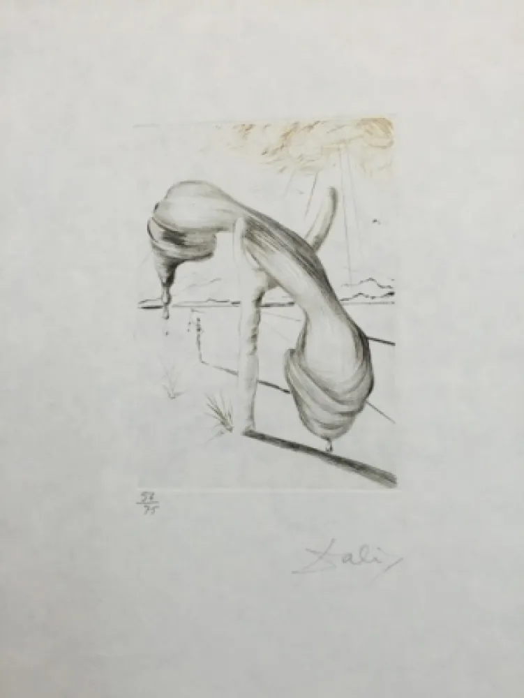 Acquaforte E Acquatinta Dali - Telephone mou