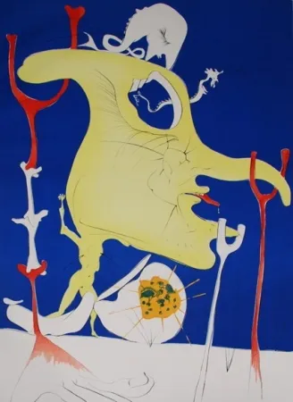 Incisione Dali - The last corner of the last Planet