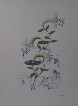 Incisione Dali - The Lily - Lilium Musicum