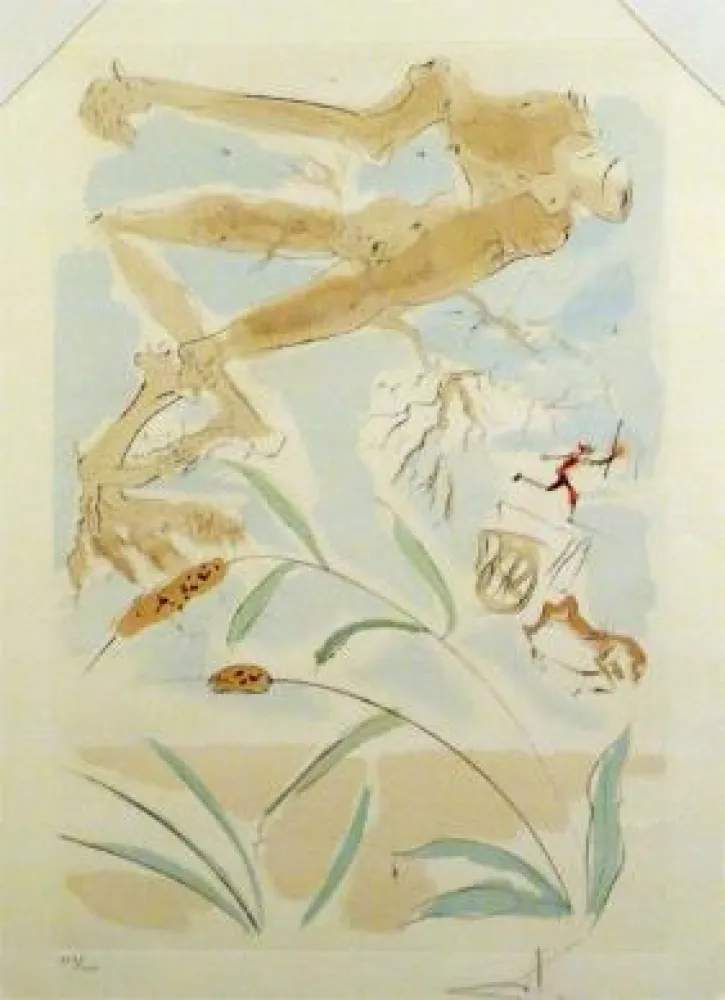 Non Tecnico Dali - The Oak and the Reed - from the suite 