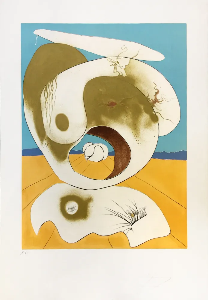 Incisione Dali - VISION PLANETAIRE ET SCATOLOGIC