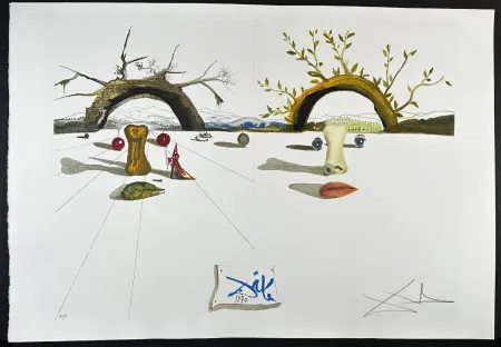 Incisione Dali - Winter & Summer