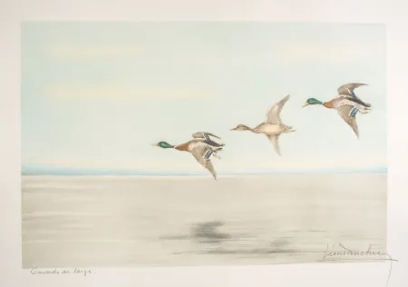 Acquaforte Danchin - 12 Canards au large - Three Ducks flying (Original)