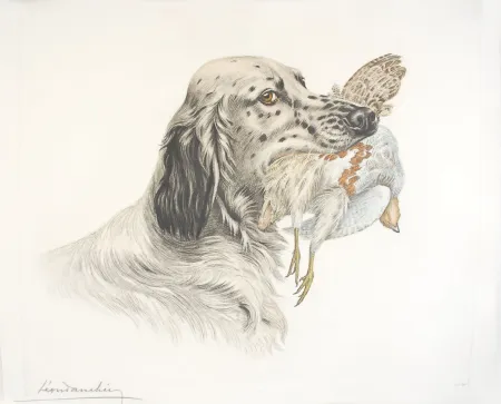 Acquaforte Danchin - 49 Setter et Perdrix - English Setter and Partridge (Original)