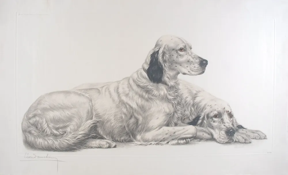 Incisione Danchin - Deux Setters couchés (Setters au repos) - Two English Setters at rest