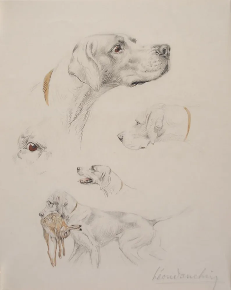 Non Tecnico Danchin - Etude de pointer