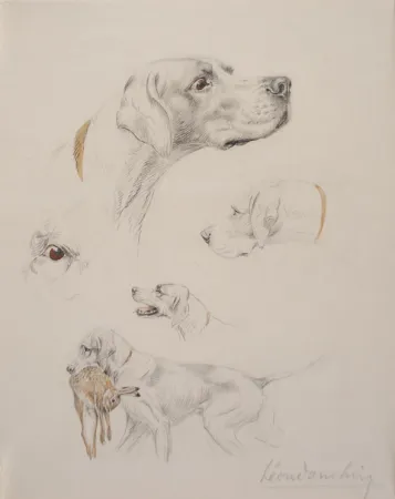 Non Tecnico Danchin - Etude de pointer