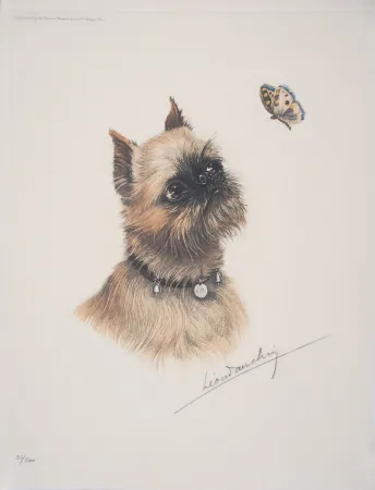 Acquaforte Danchin - Griffon Bruxellois et papillon - Brussel Griffon and butterfly