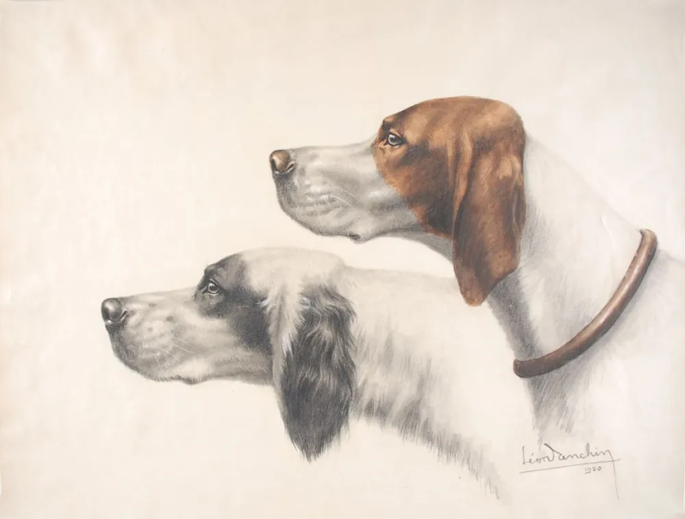 Non Tecnico Danchin - Setter Anglais et Braque Français