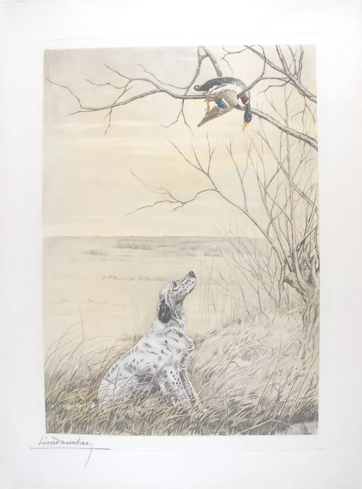Incisione Danchin - Setter et Canard branche - English Setter and Duck in a tree (Original)
