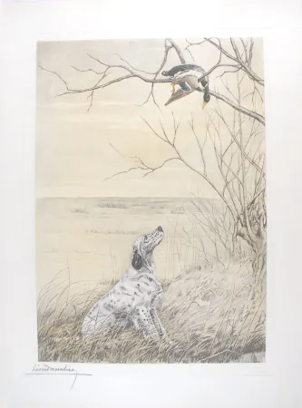 Incisione Danchin - Setter et Canard branche - English Setter and Duck in a tree (Original)
