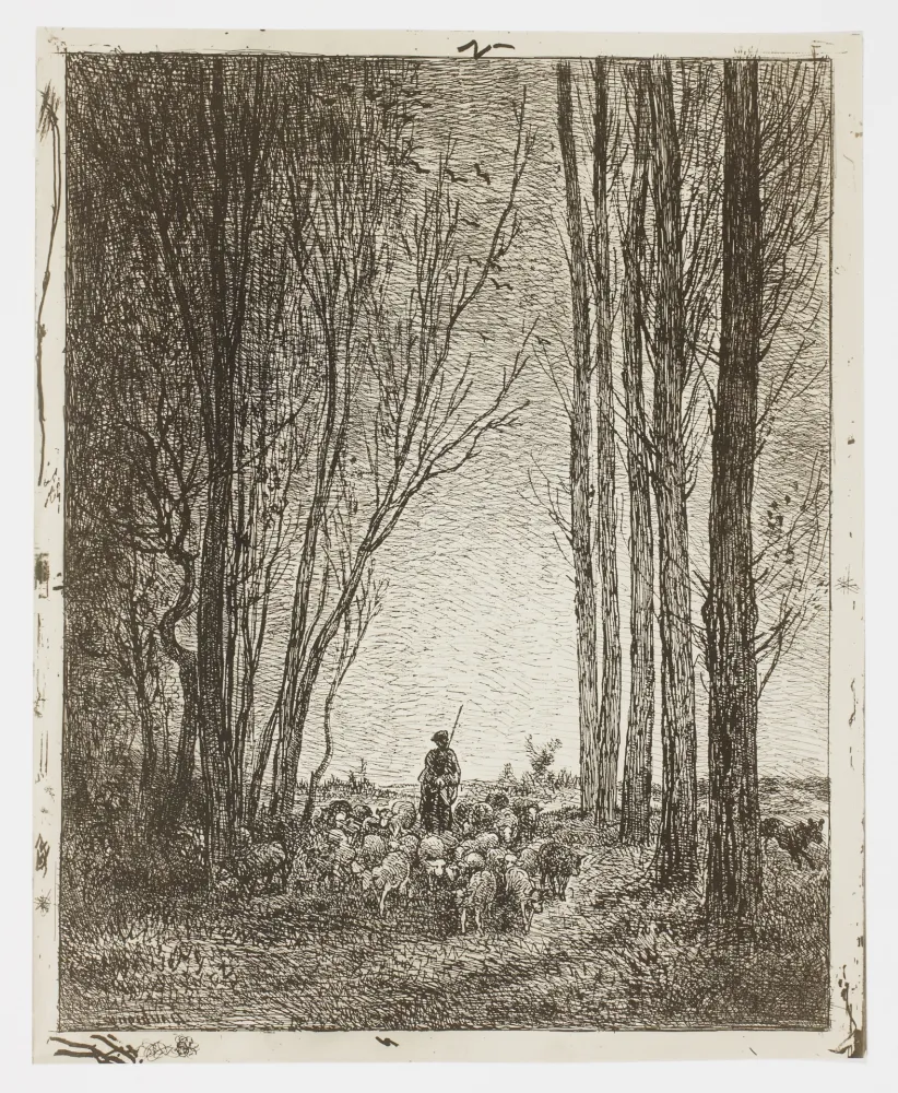 Non Tecnico Daubigny - La Rentrée du Troupeau (Return of the Flock)