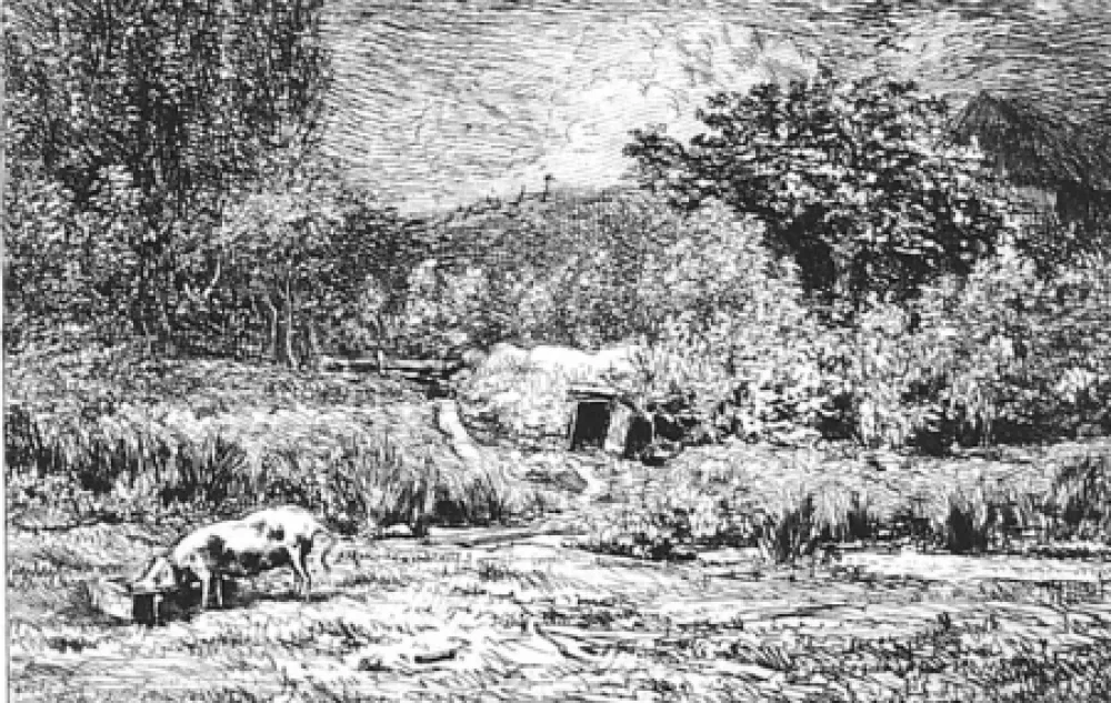 Acquaforte Daubigny - Le cochon dans un verger
