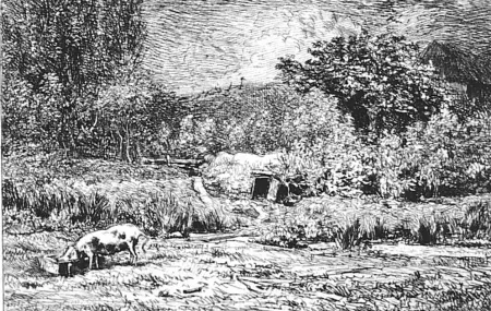 Acquaforte Daubigny - Le cochon dans un verger
