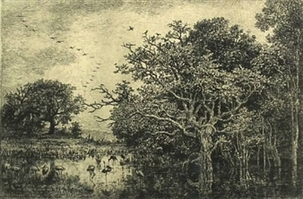 Incisione Daubigny - Le marais aux cigognes