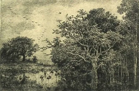 Incisione Daubigny - Le marais aux cigognes