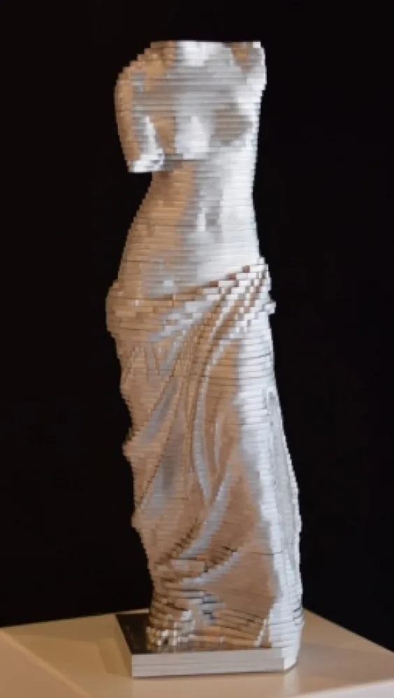 Non Tecnico David - Small Vénus