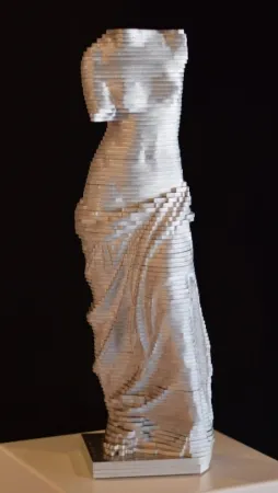 Non Tecnico David - Small Vénus