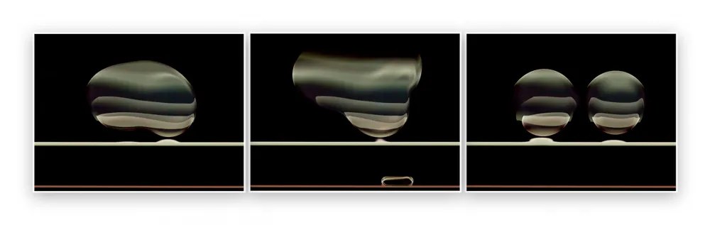 Fotografie De Haan - Timeline 5