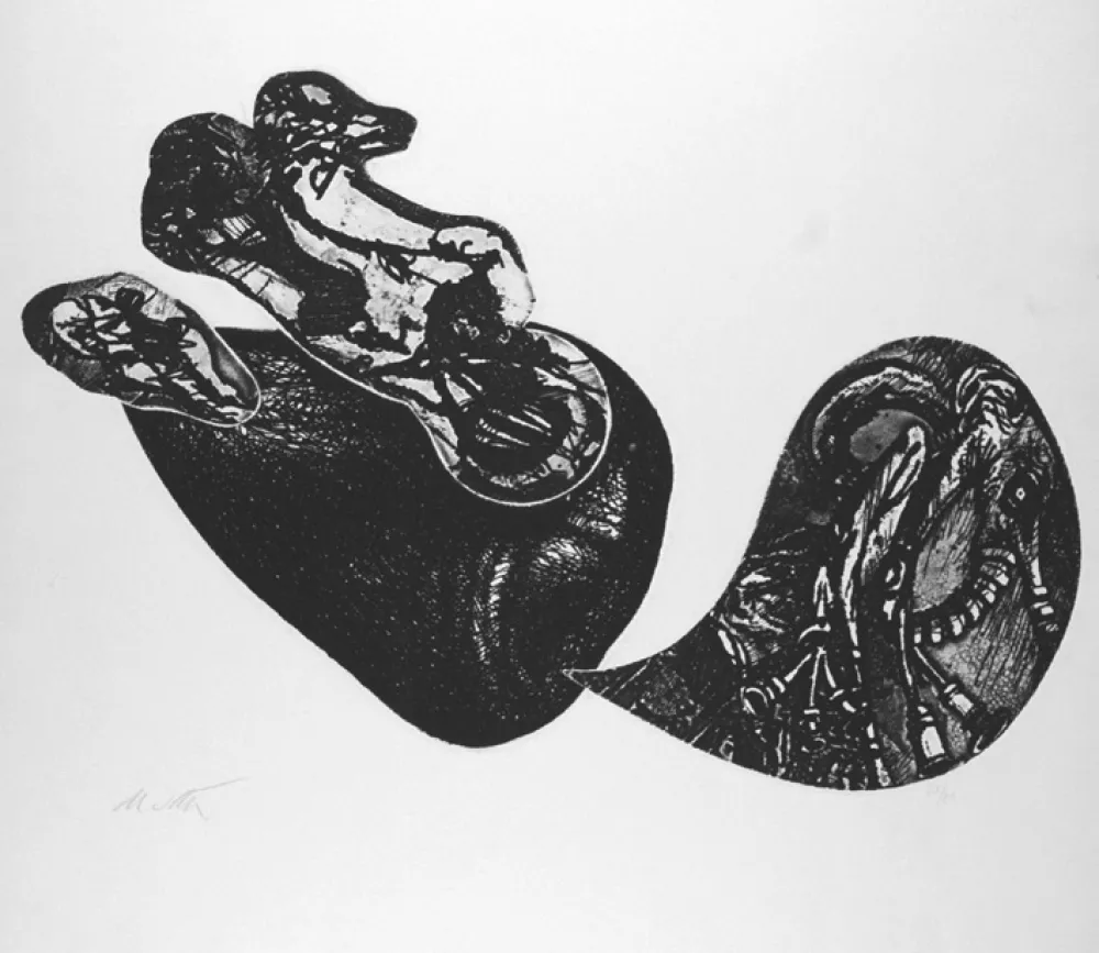 Acquaforte De Vita - Le cose che volano II