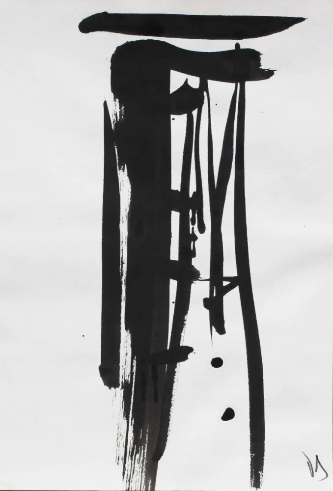 Non Tecnico Debré - Signe 1