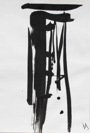 Non Tecnico Debré - Signe 1