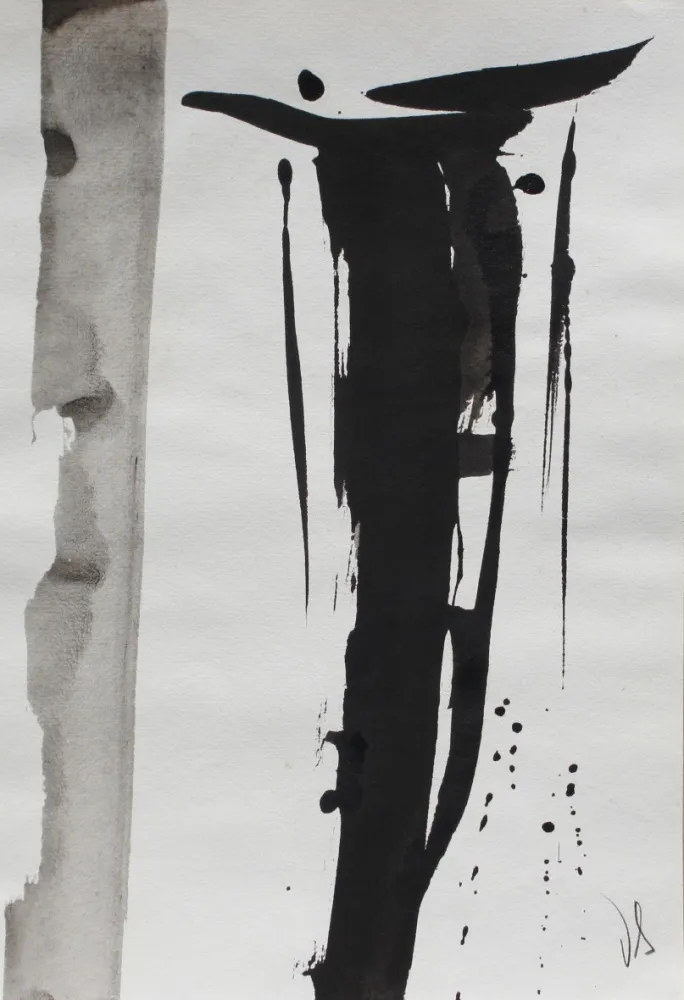 Non Tecnico Debré - Signe 2