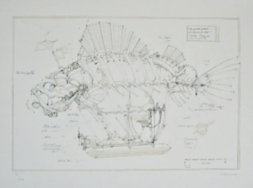 Litografia Delarozière - Le Poisson Pirate