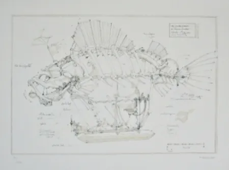Litografia Delarozière - Le Poisson Pirate
