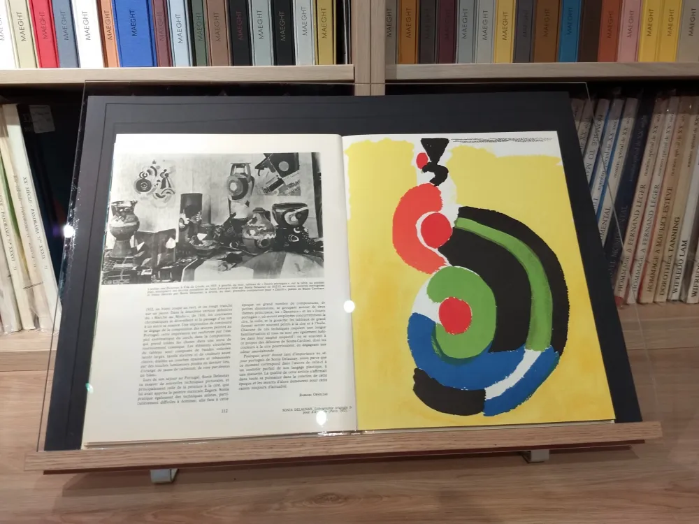 Libro Illustrato Delaunay - No 39