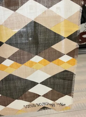 Non Tecnico Delaunay - Sin titulo