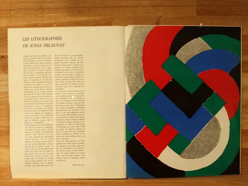 Libro Illustrato Delaunay - Xxe No32