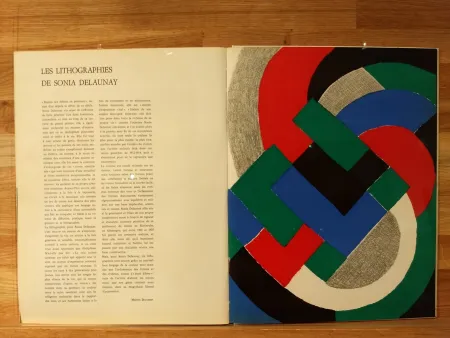 Libro Illustrato Delaunay - Xxe No32